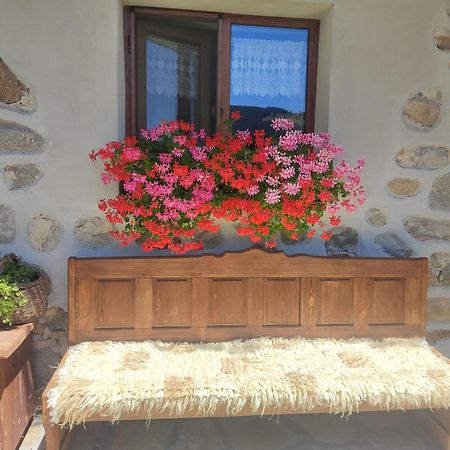 Радкината Къща Hotell Koprivsjtitsa Exteriör bild