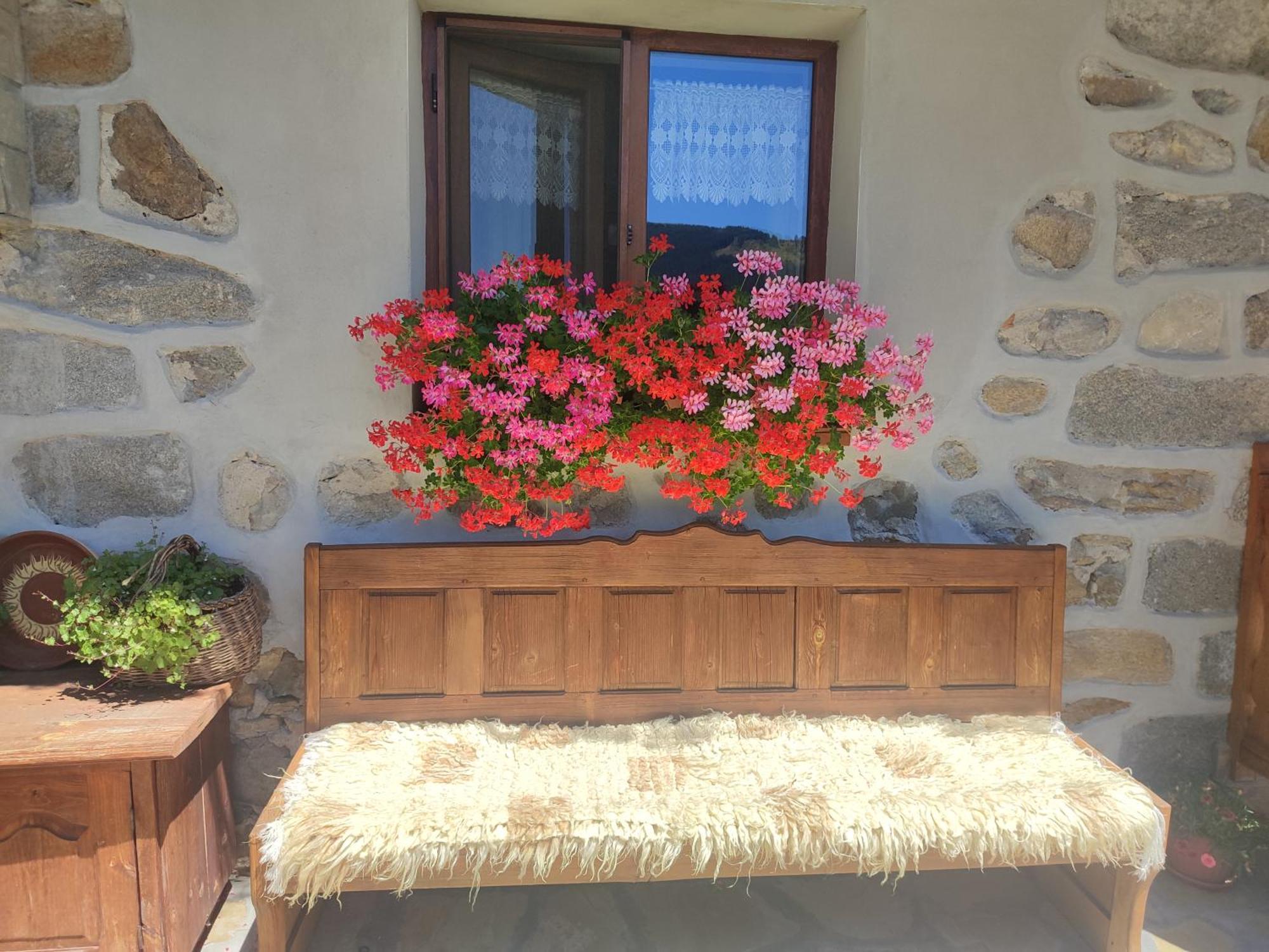 Радкината Къща Hotell Koprivsjtitsa Exteriör bild